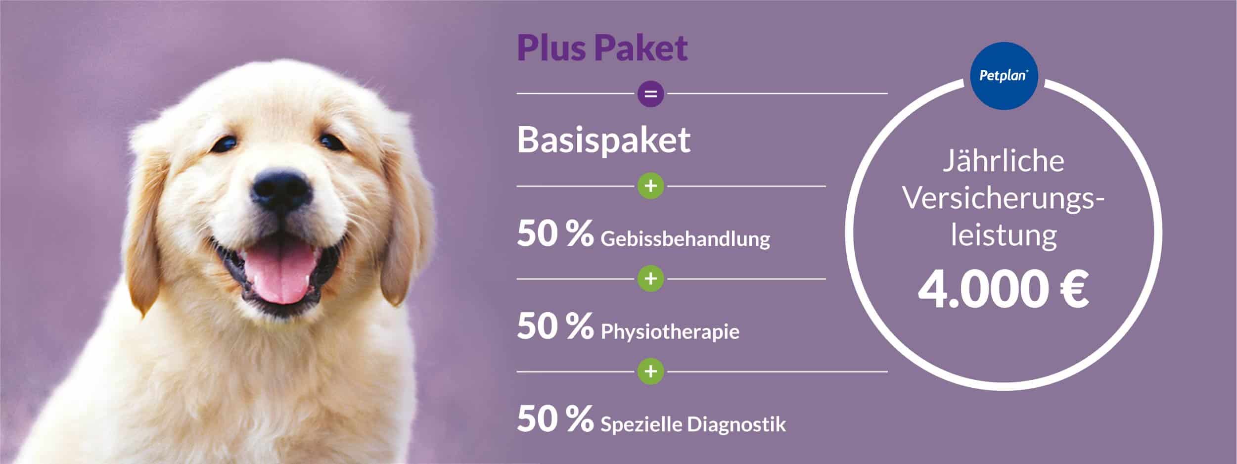 Petplan Plus – die Hundekrankenversicherung, die fast alles abdeckt