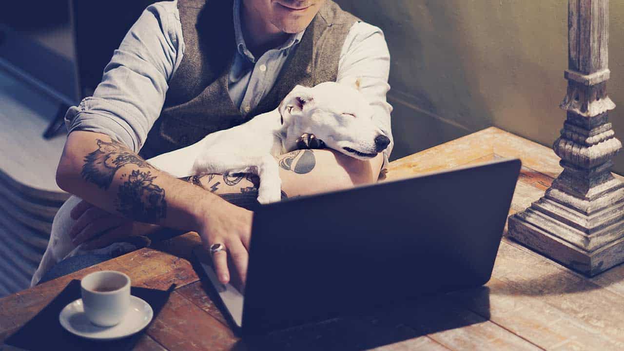 Hund liegt bei Mann im Arm vor einem Laptop