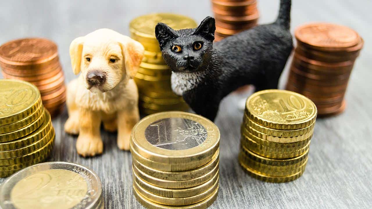 Hundekrankenversicherung – was wird bezahlt?