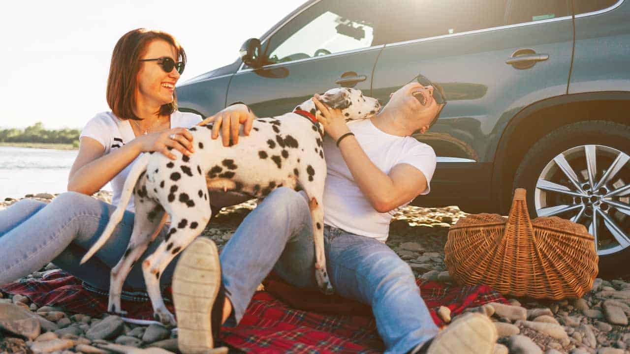 Paar spielt mit Hund auf Decke vor einem Auto