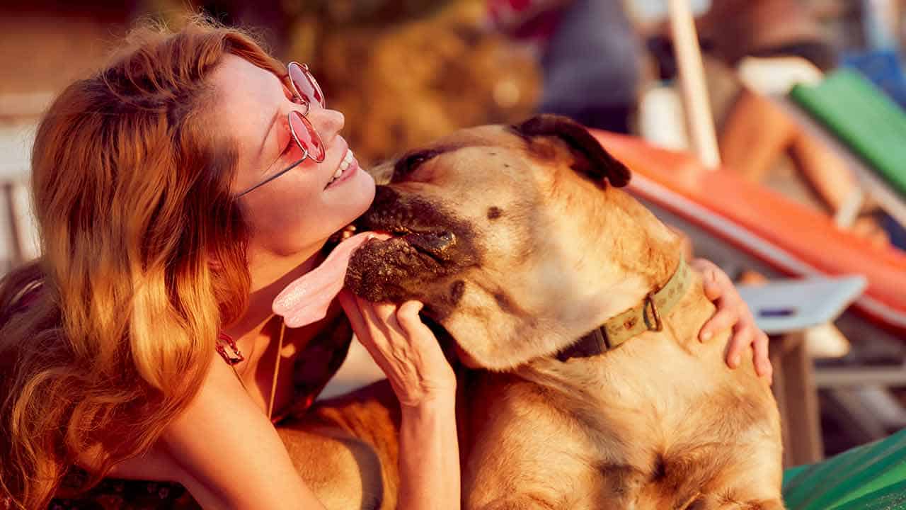 Was beeinflusst die Kosten einer Hundekrankenversicherung?
